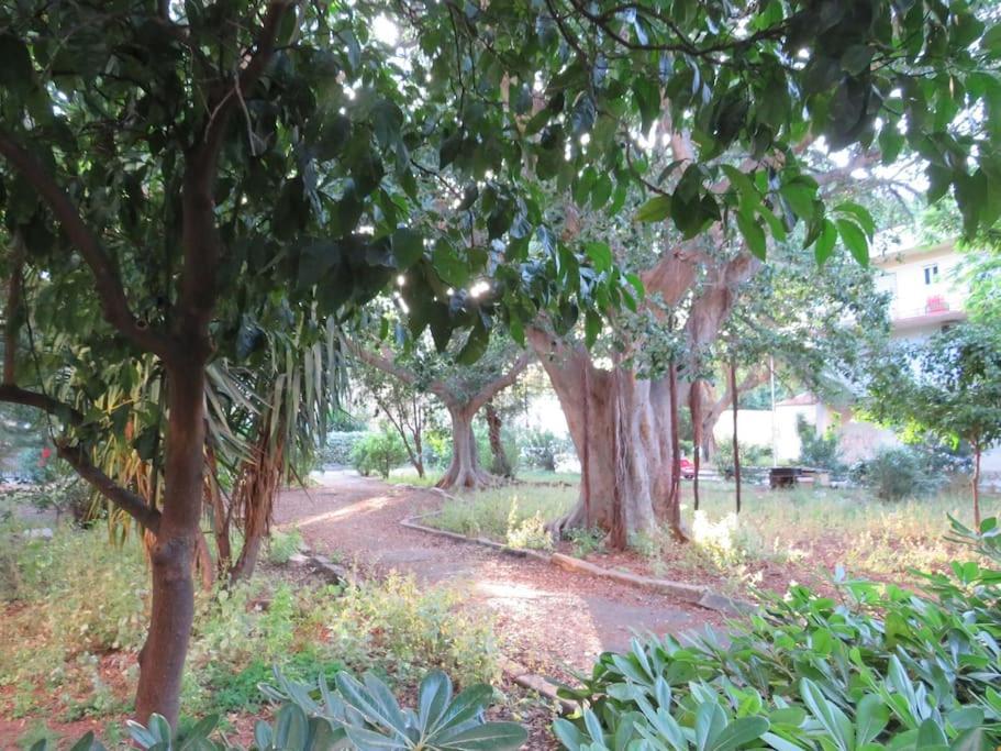 Relax Nel Verde- Giodapi Palm ปาแลร์โม ภายนอก รูปภาพ
